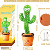 Dancing Cactus Toy